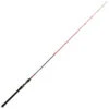 Canne Casting Tenryu BC-Injection 62 XH 1,88m 28-112g
