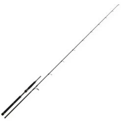 Canne Lancer Daiwa Bg Seabass 802 Xhfsos 2.44m 28/84g