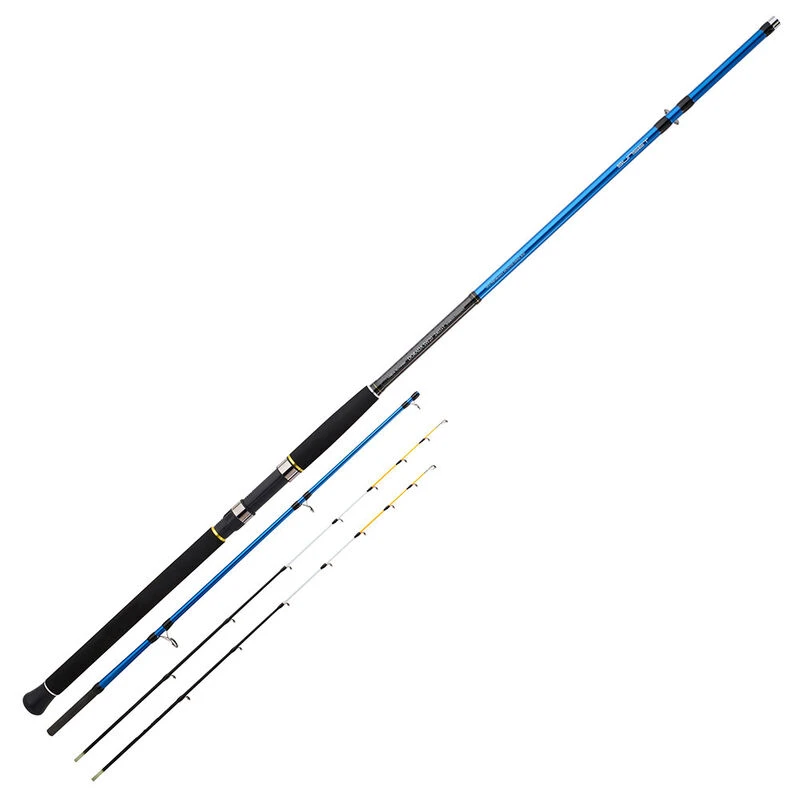 Canne Sunset Dorada Sw20 3m (max250g) 1 Canne Sunset Dorada Sw20 3m (max250g)