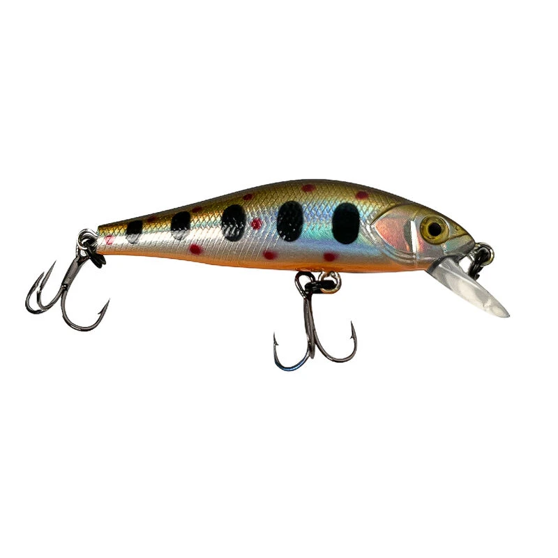 6 Poissons Nageurs Truite + Boîte Offerte 7 6 Poissons Nageurs Truite + Boîte Offerte – Image 7