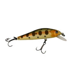 6 Poissons Nageurs Truite + Boîte Offerte 14 6 Poissons Nageurs Truite + Boîte Offerte -Pêche Fournitures Boutique 158515 3