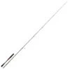 Canne Spinning Daiwa STEEZ AGS 6101 MLXS 2,09m 5-14g