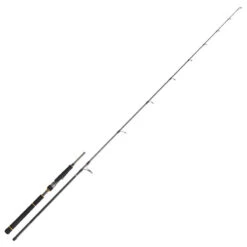 Canne Lancer Daiwa Black Gold Seabass 722 2.18m 28-84g (2 Brins)