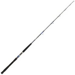 Daiwa Canne Jigging Saltiga Jigging Deep EX58 1.73m 80lbs