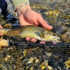 Canne Toc/Nymphe STROW Master Nymph 3m40 (1-10g) 13 Canne Toc/Nymphe STROW Master Nymph 3m40 (1-10g) -Pêche Fournitures Boutique 204595 g