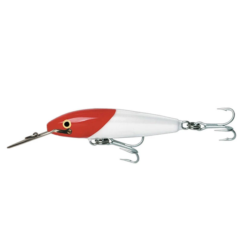 Leurre Traîne Poisson Nageur Rapala Countdown Magnum 22cm 100g 1 Leurre Traîne Poisson Nageur Rapala Countdown Magnum 22cm 100g