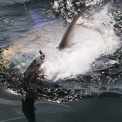 Leurre De Surface Popper Tackle House Feed Popper 150 15cm 60g 5 Leurre De Surface Popper Tackle House Feed Popper 150 15cm 60g -Pêche Fournitures Boutique 90891 b