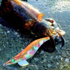 Turlutte Mer Yamashita Egi Sutte R 3.5 13cm 10g -Pêche Fournitures Boutique 93062 b